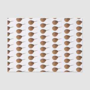 Papel De Seda Ilustracion personalizado de cangrejo herradura