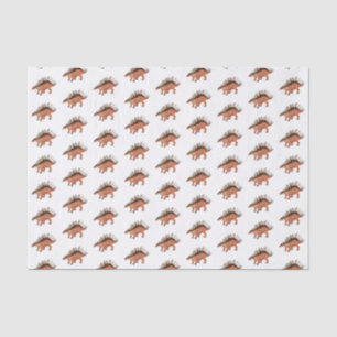 Papel De Seda Ilustracion personalizado de Kentrosaurus
