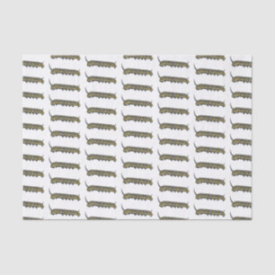 Papel De Seda Ilustracion personalizado de oruga monarca