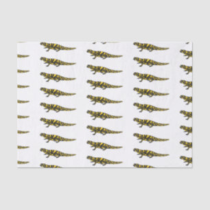 Papel De Seda Ilustracion personalizado de salamandra tigre