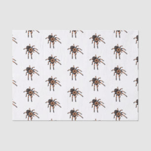 Papel De Seda Ilustracion personalizado de Tarantula