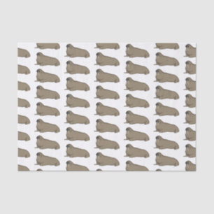 Papel De Seda Ilustracion personalizado de Walrus