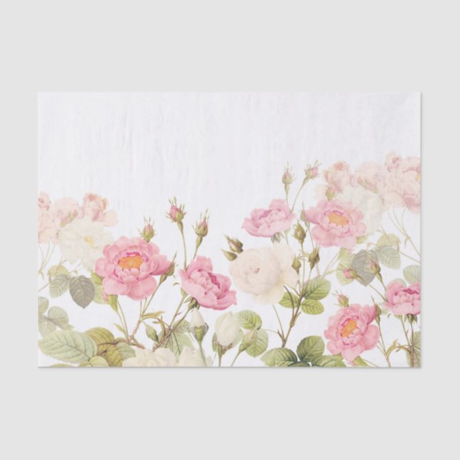 Papel De Seda Ilustracion rosado del prado de los rosas del (Anverso)