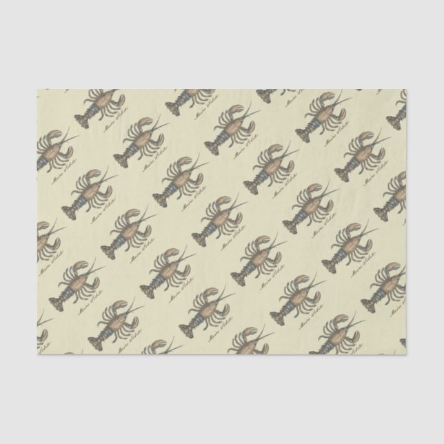 Papel De Seda Ilustración Vintage de Langosta: Damask Costero  (Anverso)