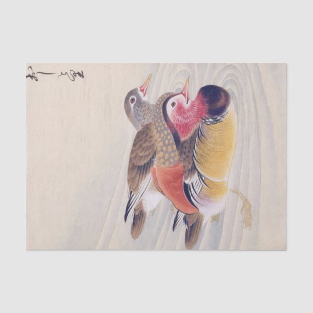 Papel De Seda Ilustracion vintage: Pato mandarín (Anverso)