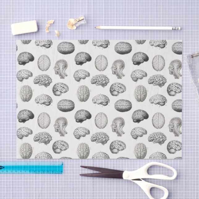Papel De Seda Ilustraciones de Anatomía del Cerebro Biología (Artesanía)