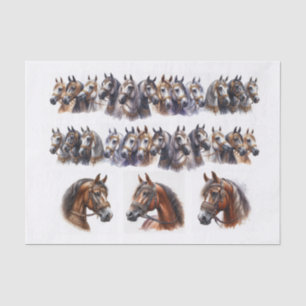 Papel De Seda Ilustraciones de caballos, incluidas dos filas lar