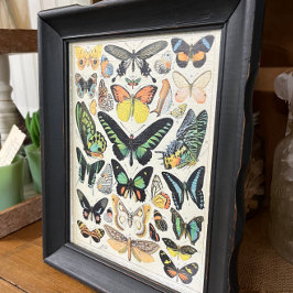 Papel De Seda Ilustraciones, mariposas, decoraciones