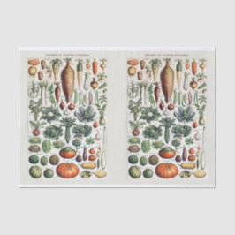 Papel De Seda Ilustraciones Millot, Hortalizas Jardín, Descascar