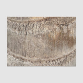 Papel De Seda Imagen de foto de cierre de textura del tronco del