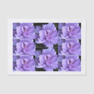 Papel De Seda Imágenes multi subiós lavanda de Sharon