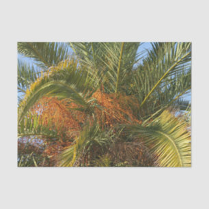 Papel De Seda IMG_7080.JPGverano, palmas, hojas, tropicales, árb