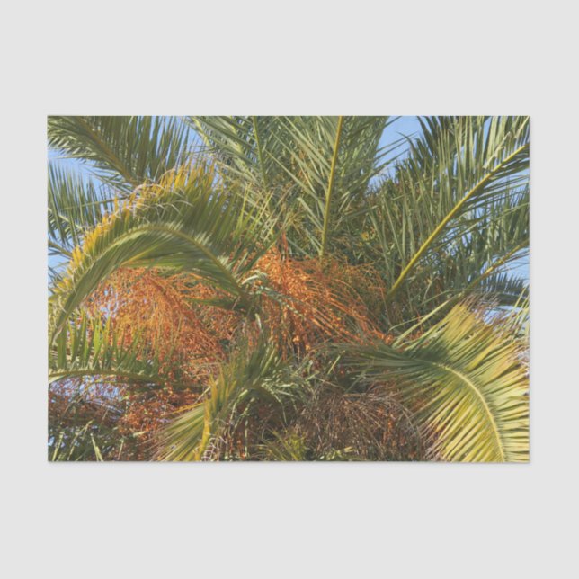 Papel De Seda IMG_7080.JPGverano, palmas, hojas, tropicales, árb (Anverso)