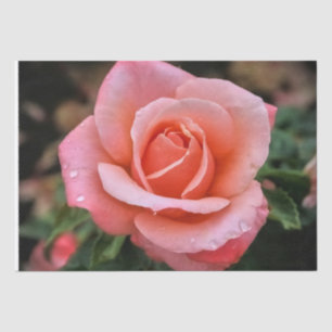 Papel De Seda Impresión de arte botánico Rosa romántico