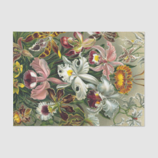 Papel De Seda Impresión del arte de Ernst Haeckel: Orchidae