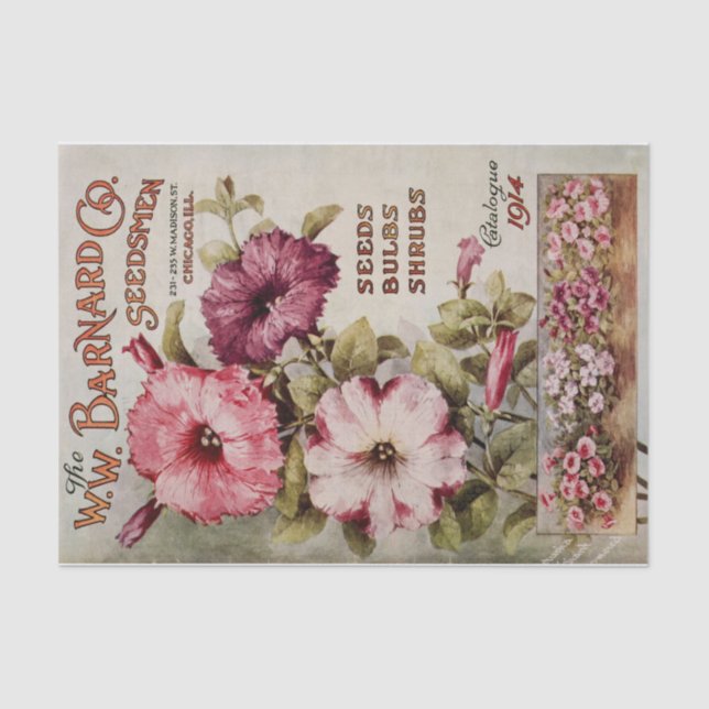 Papel De Seda Impresión del Catálogo de Flores Barnard 1914 (Anverso)