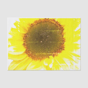 Papel De Seda Impresión del girasol
