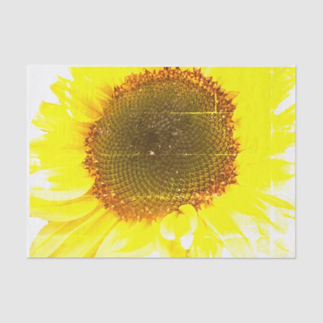 Papel De Seda Impresión del girasol (Anverso)