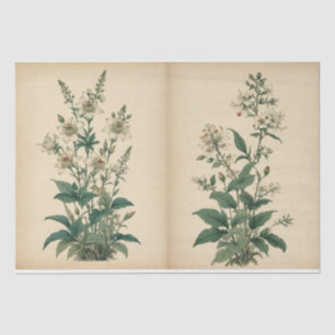 Papel De Seda Impresión Vintage de Flores Silvestres