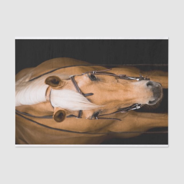 Papel De Seda Impresionante caballo palomino (Anverso)