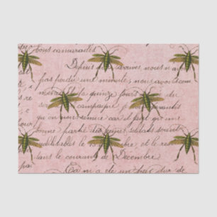 Papel De Seda Insecto Rosa Vintage