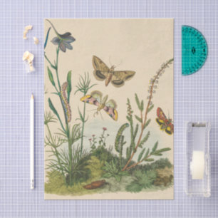 Papel De Seda Insectos de jardín vintage, mariposas, orugas
