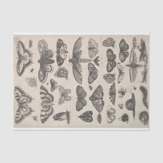 Papel De Seda Insectos Decoupage de los lepidópteros de la (Anverso)