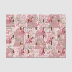 Papel De Seda Insectos y boletines de época