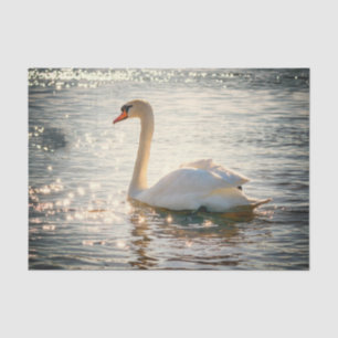 Papel De Seda Inspiraciones de la Naturaleza Elegante Cisne 