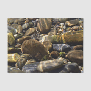 Papel De Seda Inspiraciones naturales Vigas de sol rocas submari