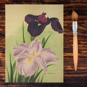 Papel De Seda Iris Acuático Japonés Catálogo Botánico Antiguo