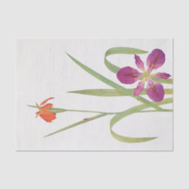 Papel De Seda Iris Fulva e Iris Fulvala de William Dykes