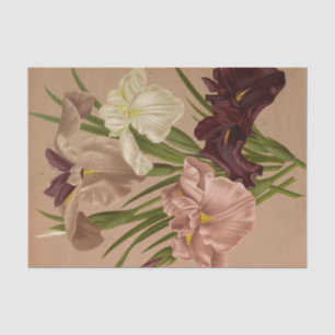Papel De Seda Iris Kaempferi. Var por Arentina Hendrica Arendsen