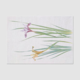 Papel De Seda Iris Macrosiphon por William Dykes