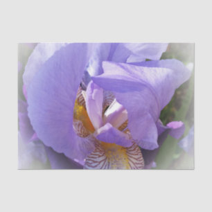 Papel De Seda iris morado