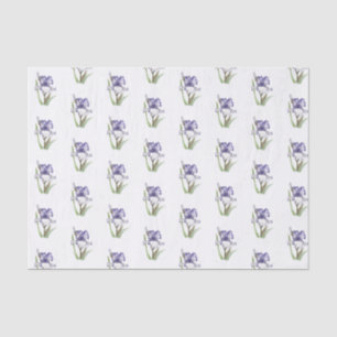 Papel De Seda Iris rufado morado