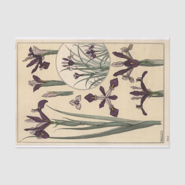 Papel De Seda Iris, serie botánica de Eugene Grasset (Anverso)