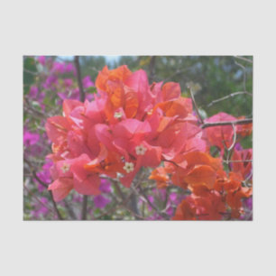 Papel De Seda Isla Tropical Rosa Bougainvillea Floral