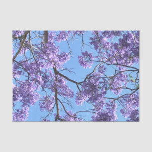 Papel De Seda Jacaranda