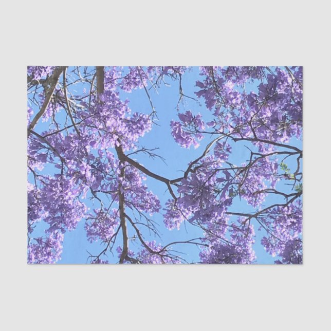 Papel De Seda Jacaranda (Anverso)