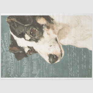 Papel De Seda Jack Russell Terrier Dog con una efemera vintage