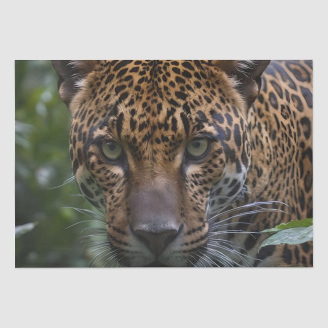 Papel De Seda Jaguar Muy Cerca En El Bosque, (Anverso)
