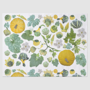 Papel De Seda Jardín de calabazas