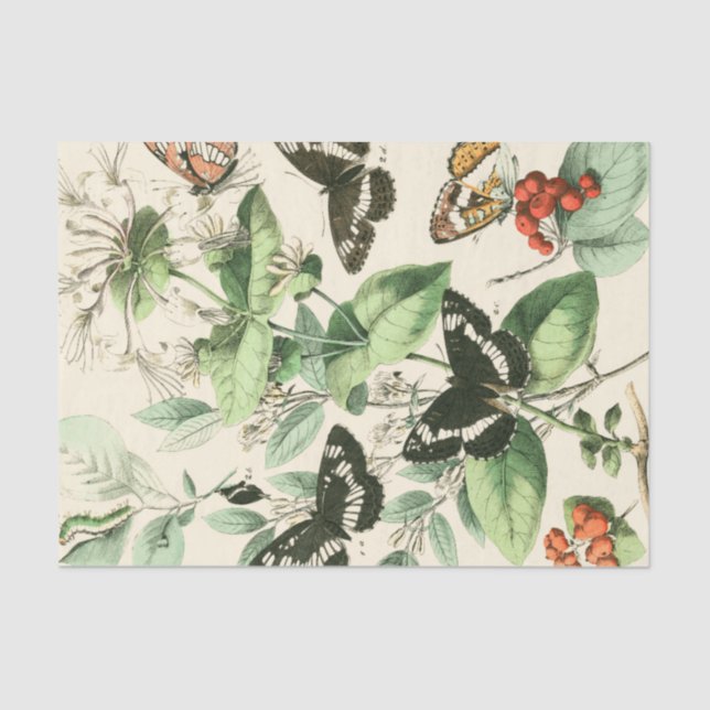Papel De Seda Jardín de mariposas y flores (Anverso)