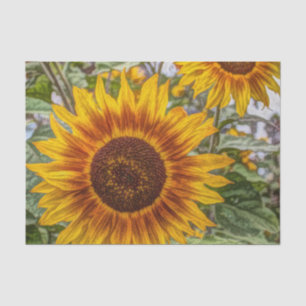 Papel De Seda jardín de verano francés girasol feliz