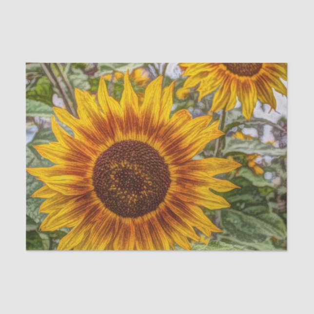 Papel De Seda jardín de verano francés girasol feliz (Anverso)