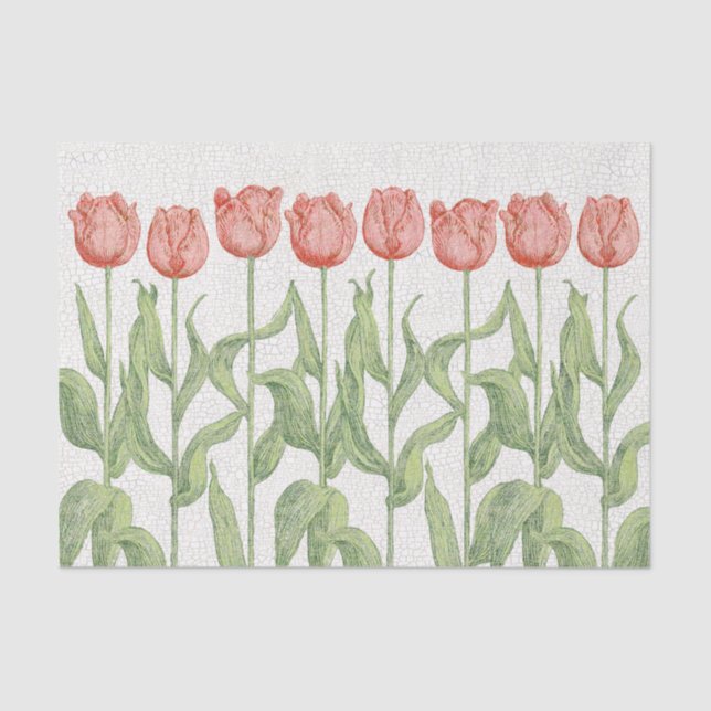 Papel De Seda Jardín del tulipán (Anverso)