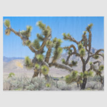 Joshua Tree en California