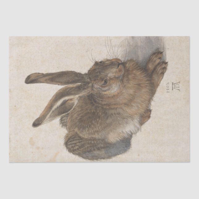 Papel De Seda Joven liebre de Albrecht Durer (Anverso)