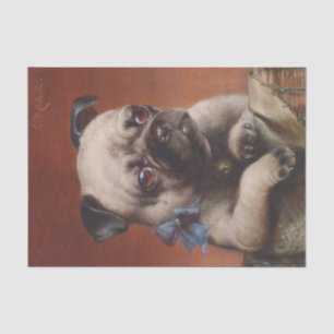 Papel De Seda Joven Pug por Carl Reichert